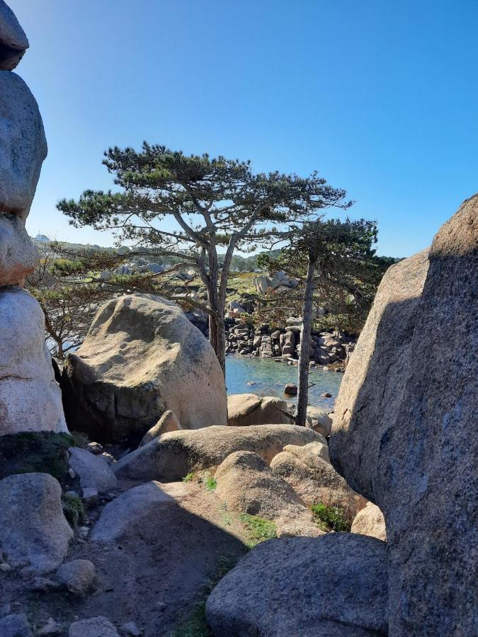 Appartement Plage De Trestraou 45M2 Perros-Guirec Exteriér fotografie